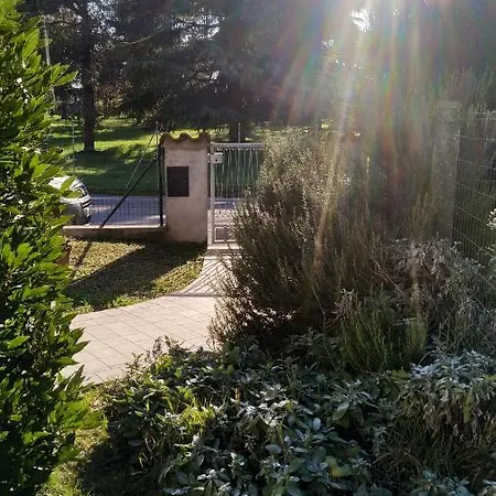 Il Tempo Dei Sogni San Benedetto Po