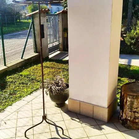 Il Tempo Dei Sogni San Benedetto Po