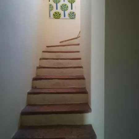 Il Tempo Dei Sogni San Benedetto Po